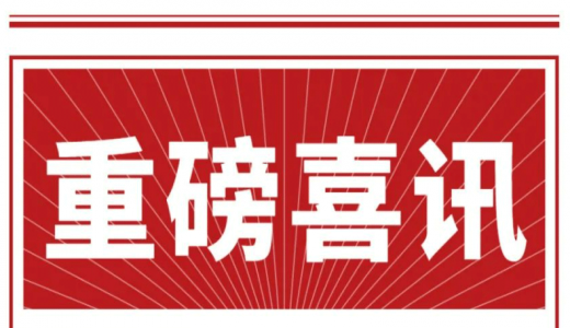 喜訊丨城望集團(tuán)總經(jīng)理王廣慶先生再次獲聘臨邑縣政府投融資體制改革咨詢服務(wù)顧問！