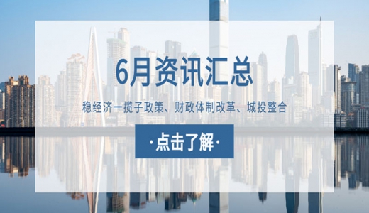 城望資訊6月刊丨部署加快穩(wěn)經(jīng)濟一攬子政策措施落地生效