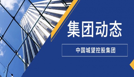 重磅推薦丨城望內(nèi)參：如何解讀35號文系列政策？后35號文時代城投如何破題？