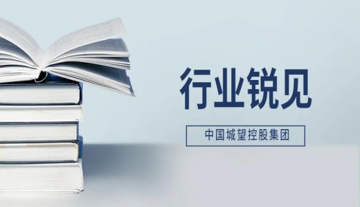 中紀(jì)委點名融資平臺，意味著什么？